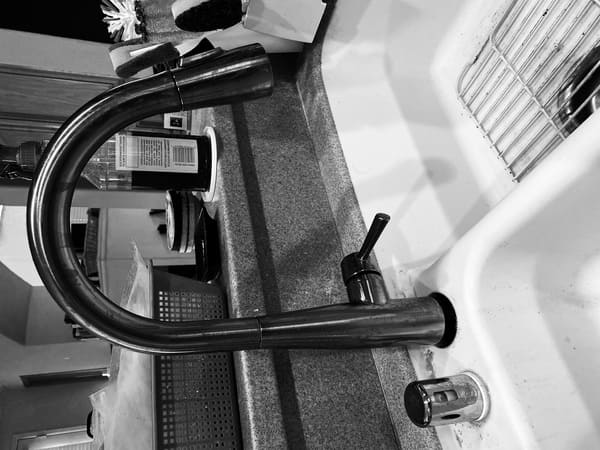I installed a new kitchen faucet during break. Black and White photos are my other passion
